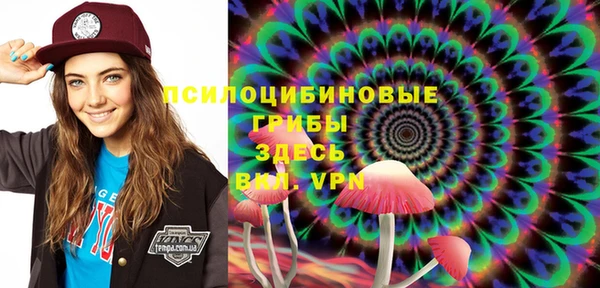 ешки Абаза