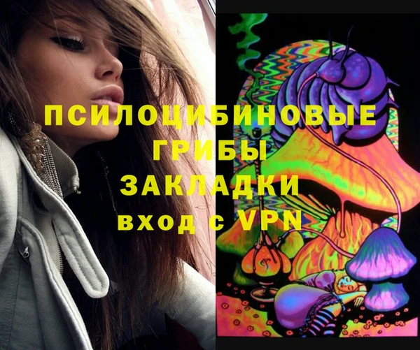 ешки Абаза