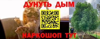 трава Анжеро-Судженск