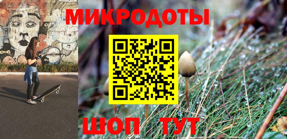 Псилоцибиновые грибы мицелий  как найти наркотики  Алексин  Вход с VPN 