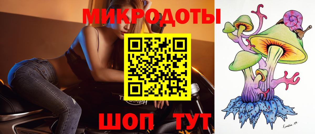Галлюциногенные грибы Psilocybe Алексин